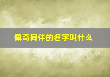 佩奇同伴的名字叫什么