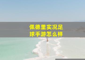 佩德里实况足球手游怎么样