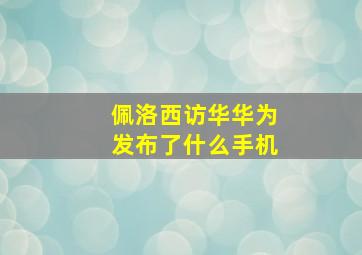 佩洛西访华华为发布了什么手机