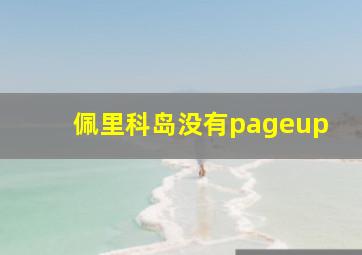 佩里科岛没有pageup