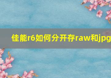 佳能r6如何分开存raw和jpg