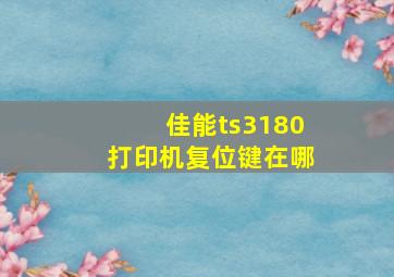 佳能ts3180打印机复位键在哪