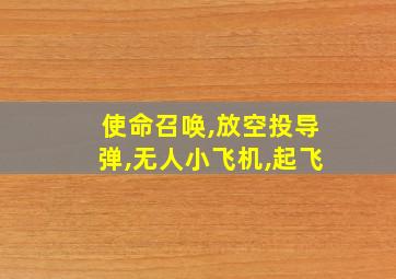 使命召唤,放空投导弹,无人小飞机,起飞