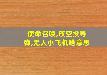 使命召唤,放空投导弹,无人小飞机啥意思