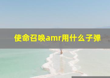 使命召唤amr用什么子弹