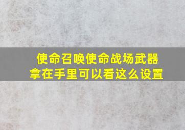 使命召唤使命战场武器拿在手里可以看这么设置