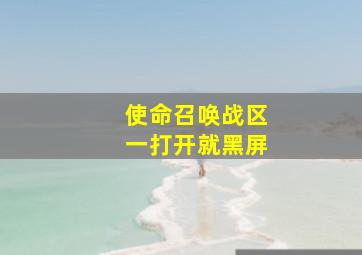 使命召唤战区一打开就黑屏