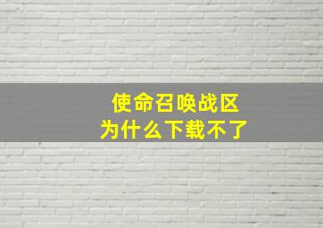 使命召唤战区为什么下载不了