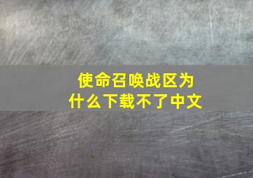 使命召唤战区为什么下载不了中文