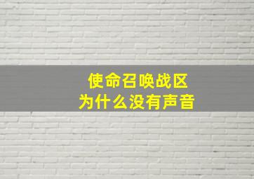 使命召唤战区为什么没有声音