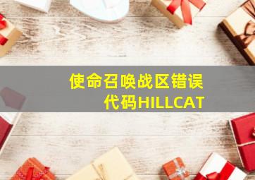 使命召唤战区错误代码HILLCAT