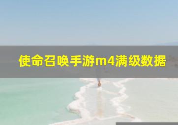 使命召唤手游m4满级数据