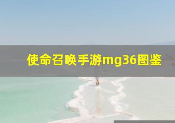 使命召唤手游mg36图鉴