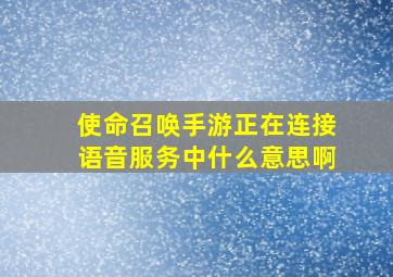 使命召唤手游正在连接语音服务中什么意思啊