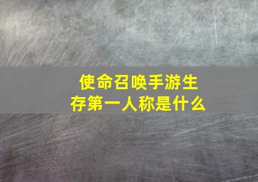 使命召唤手游生存第一人称是什么