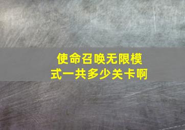 使命召唤无限模式一共多少关卡啊