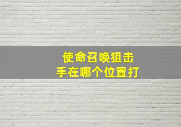 使命召唤狙击手在哪个位置打