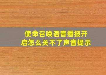 使命召唤语音播报开启怎么关不了声音提示