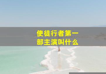 使徒行者第一部主演叫什么