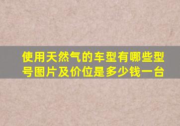 使用天然气的车型有哪些型号图片及价位是多少钱一台