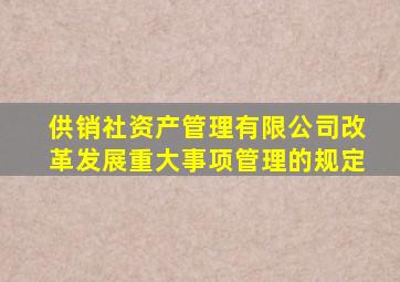 供销社资产管理有限公司改革发展重大事项管理的规定