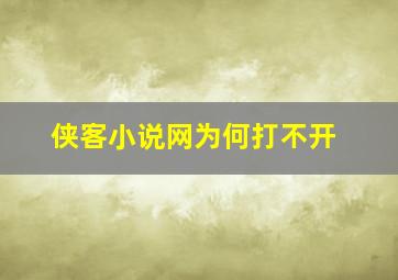 侠客小说网为何打不开