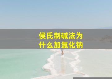 侯氏制碱法为什么加氯化钠