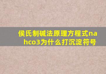 侯氏制碱法原理方程式nahco3为什么打沉淀符号