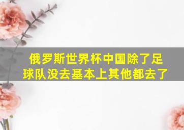 俄罗斯世界杯中国除了足球队没去基本上其他都去了