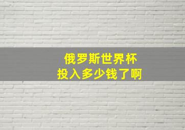 俄罗斯世界杯投入多少钱了啊