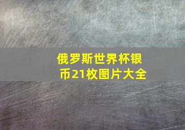 俄罗斯世界杯银币21枚图片大全