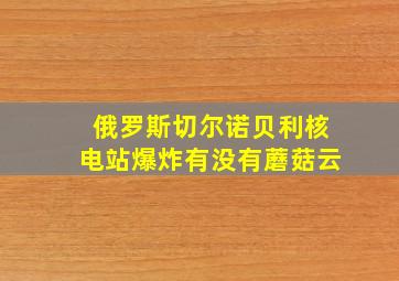 俄罗斯切尔诺贝利核电站爆炸有没有蘑菇云