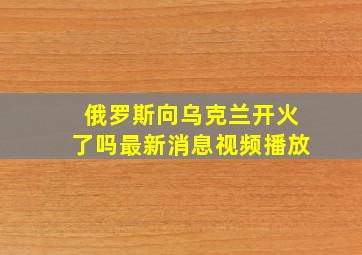 俄罗斯向乌克兰开火了吗最新消息视频播放