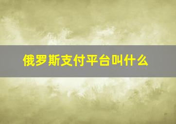 俄罗斯支付平台叫什么