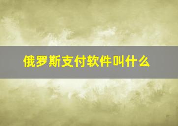 俄罗斯支付软件叫什么