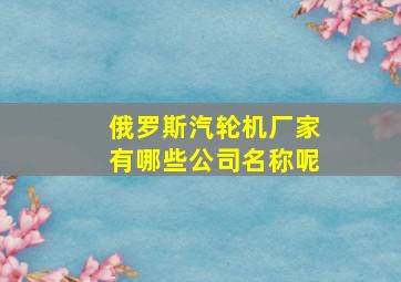 俄罗斯汽轮机厂家有哪些公司名称呢