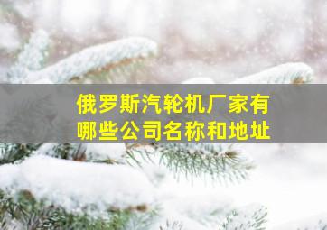 俄罗斯汽轮机厂家有哪些公司名称和地址