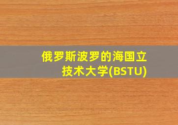 俄罗斯波罗的海国立技术大学(BSTU)