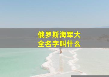 俄罗斯海军大全名字叫什么