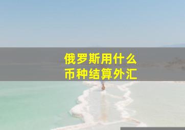 俄罗斯用什么币种结算外汇