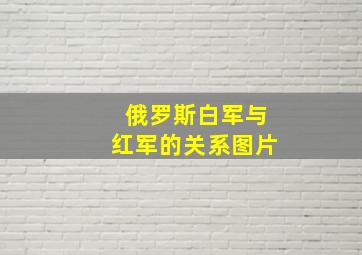 俄罗斯白军与红军的关系图片