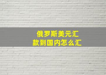 俄罗斯美元汇款到国内怎么汇