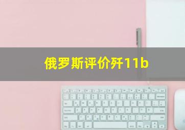 俄罗斯评价歼11b