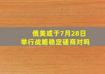 俄美或于7月28日举行战略稳定磋商对吗