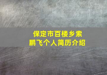 保定市百楼乡索鹏飞个人简历介绍