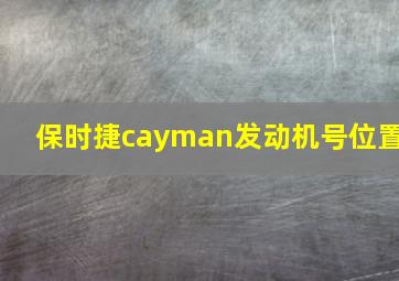 保时捷cayman发动机号位置