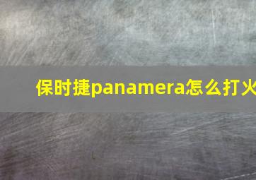 保时捷panamera怎么打火