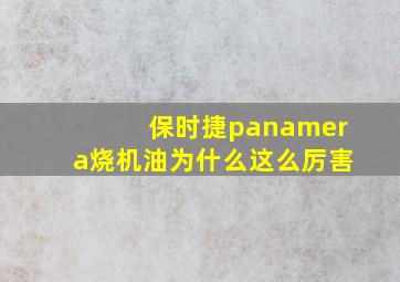 保时捷panamera烧机油为什么这么厉害