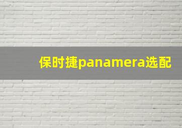 保时捷panamera选配