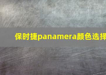 保时捷panamera颜色选择